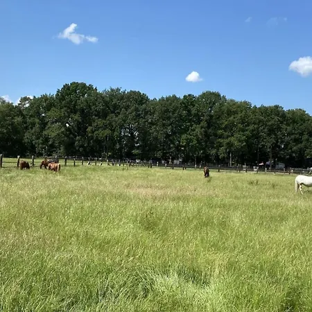 Holiday Schwalm * Niederkrüchten